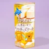 Koala's March Cookies - Rare Cheesecake