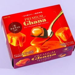 Lotte Premium Ghana Chocolate - Raw Caramel