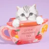 Queue Mignone Apple & Honey Tea