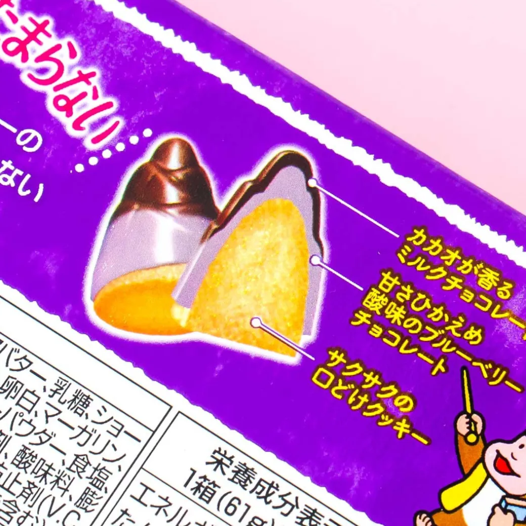 Takenoko No Sato Biscuits - Blueberry & Chocolate